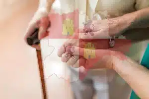 Panorama Residencial. Residencia Los Rosales. Carbajal de la Legua. León